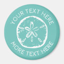 Search for beach shells magnets Summer