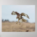 Search for hovering posters Wildlife