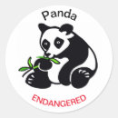 Search for cool panda stickers Bear