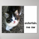 Search for cute kitten posters Funny