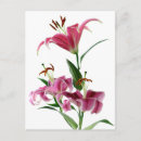 Search for crisp postcards White