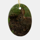Search for chick christmas tree decorations Rabbit