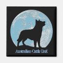 Search for acd magnets Cattle