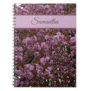 Search for cherry tree photography Pink