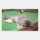 Search for domestic animal stickers Horizontal