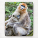 Search for nosed mouse mats Monkey