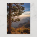 Search for rim postcards Usa