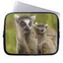 Search for tail laptop cases Lemur
