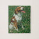 Search for brittany puzzles Dog