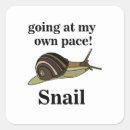 Search for snails shell stickers Nature