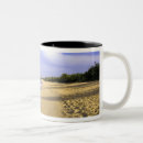 Search for caribbean island mugs Landscape