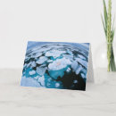 Search for polar climate cards Winter