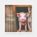 Search for piggies Kids