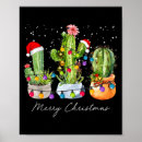 Search for christmas cactus posters Lights