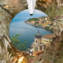 Search for the southern christmas tree decorations Landscape