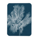 Search for tulips rectangular magnets Floral