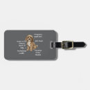 Search for cavapoo accessories Poodle