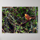 Search for hedge posters Bird