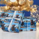 Search for fowl wrapping paper Cute