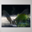 Search for eagle fantasy art Animal