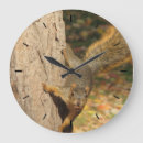 Search for nut with squirrel art Photograph
