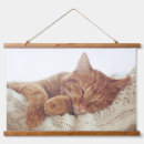 Search for cat tapestries Cute