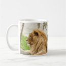 Search for lions mane mugs Male lion