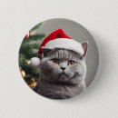 Search for kitten badges Fun