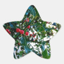 Search for berries star stickers Holly