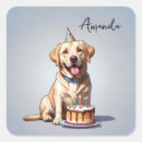 Search for labrador retriever pet stickers Birthday