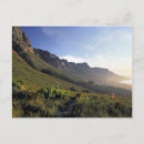Search for western town postcards City