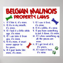 Search for belgian malinois gifts Cute