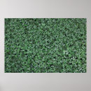 Search for leaf plant posters Pattern