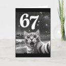 Search for funny cat graphic postcards Men women