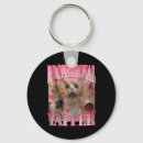 Search for specific accessories Cats
