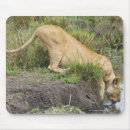 Search for the edge mouse mats Full length