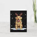 Search for lab christmas cards Dog