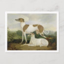 Search for greyhounds postcards Cats