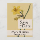 Search for daffodil save the dates Nature