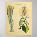 Search for vinatge art Vintage