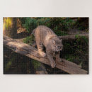 Search for wildlife puzzles Big cat