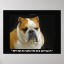 Search for bulldog lovers posters Humour
