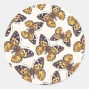 Search for painted lady stickers Butterfly
