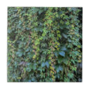 Search for ivy leaf tiles Botanical