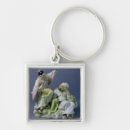 Search for early key rings English