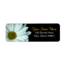 Search for white daisy return address labels Daisies
