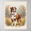 Search for herding dog posters Australian shepherd