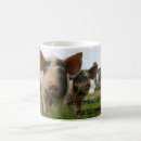Search for funny pig sayings mugs Farm