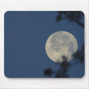 Search for nocturnal mouse mats Tree