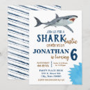 Search for infested Great white shark